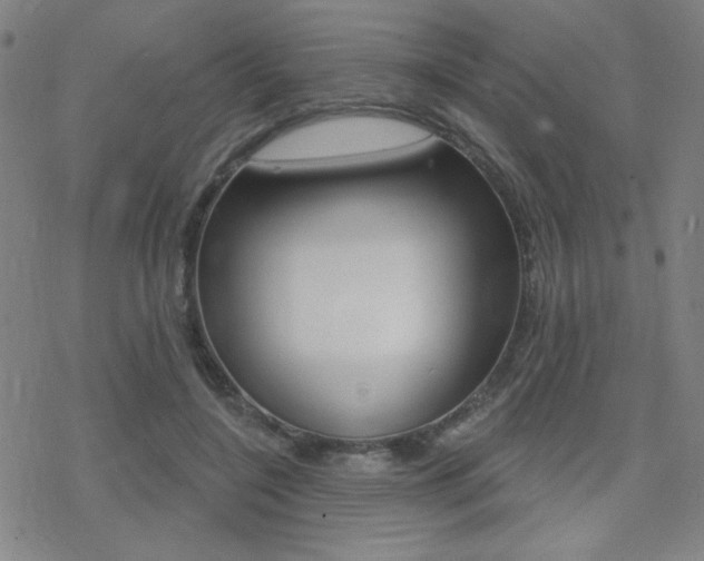 X0000078010548200610270950