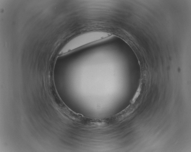 X0000078010552200610270950