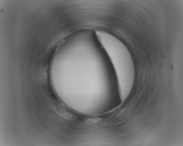 X0000078010595200610270950