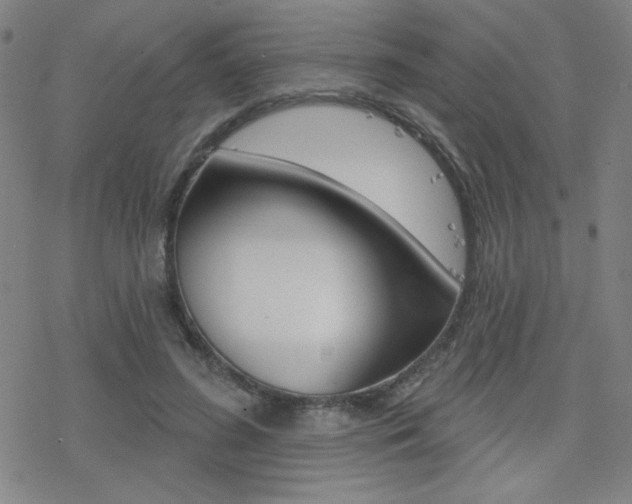 X0000078010596200610270950