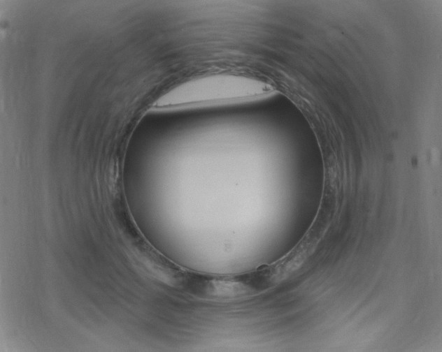 X0000078010605200610270949
