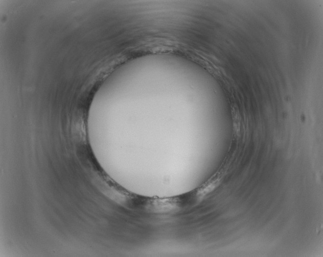 X0000078010622200610270949