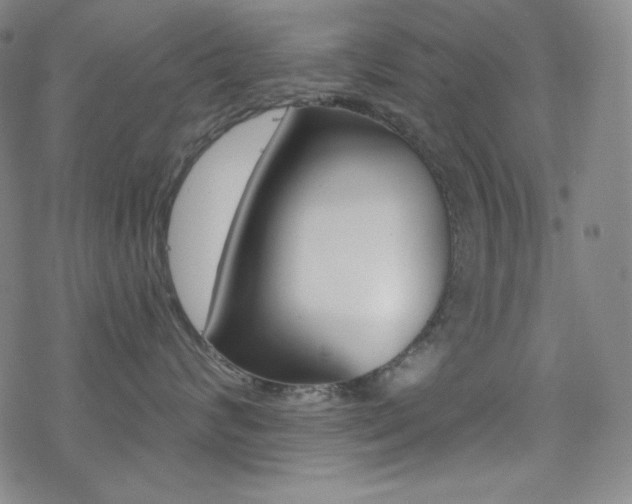 X0000078010624200610270949