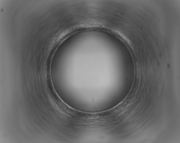 X0000078010631200610270948