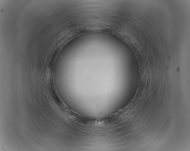 X0000078010647200610270949