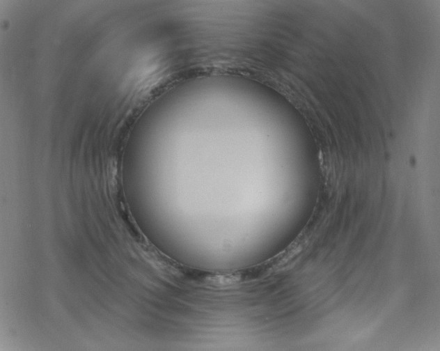 X0000078010660200610270949