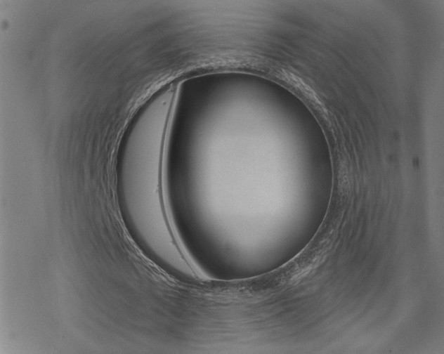 X0000078010673200610270948