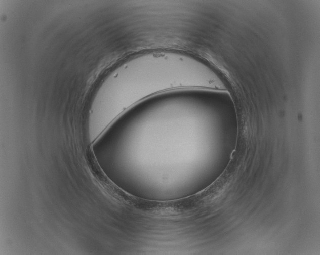 X0000078010685200610270948