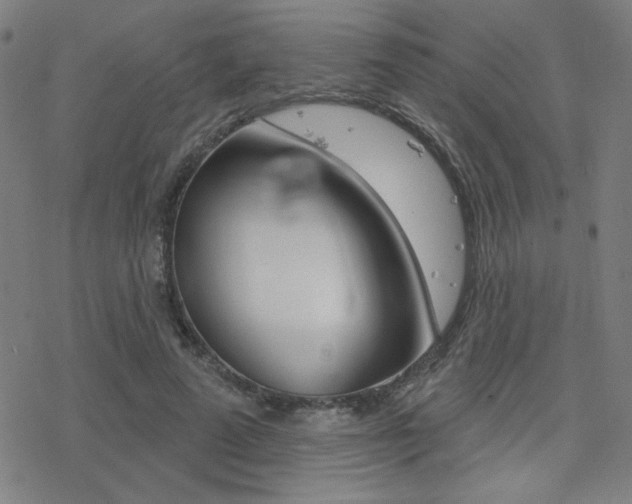 X0000078010689200610270948