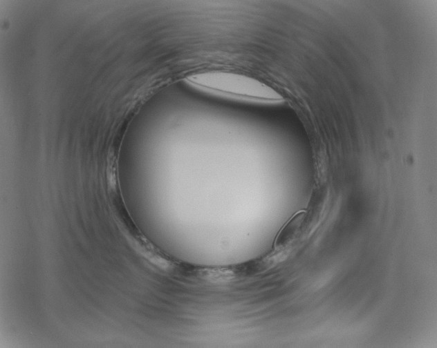 X0000078010719200610270948