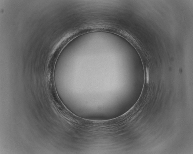 X0000078010723200610270947