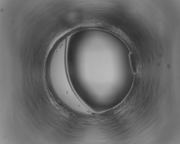 X0000078010724200610270947