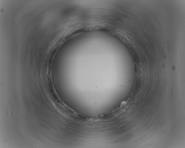 X0000078010742200610270947