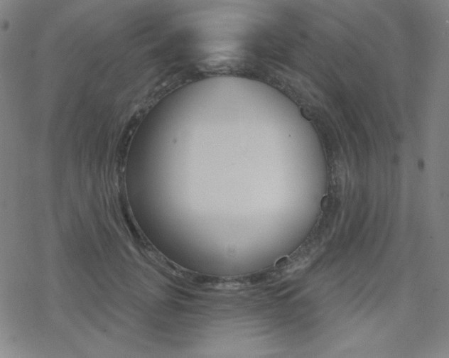 X0000078010751200610270947