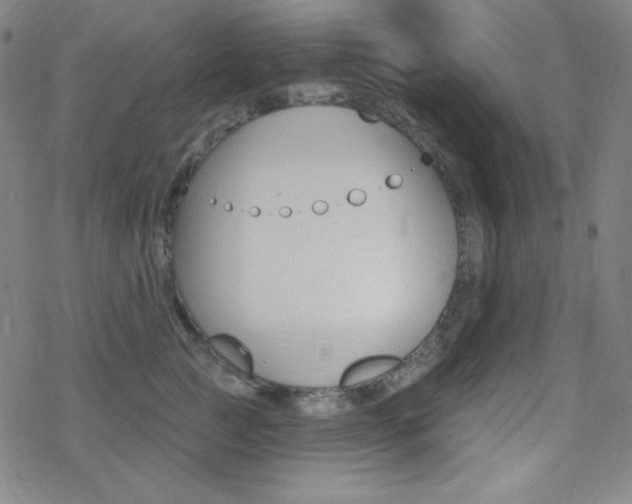 X0000078010761200610270947
