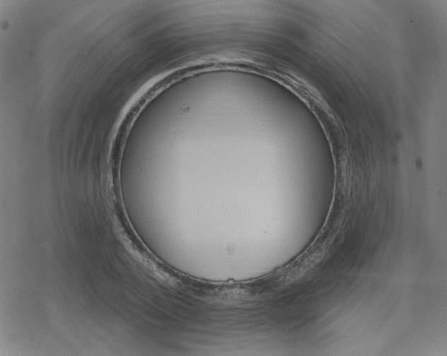 X0000078010784200610270947