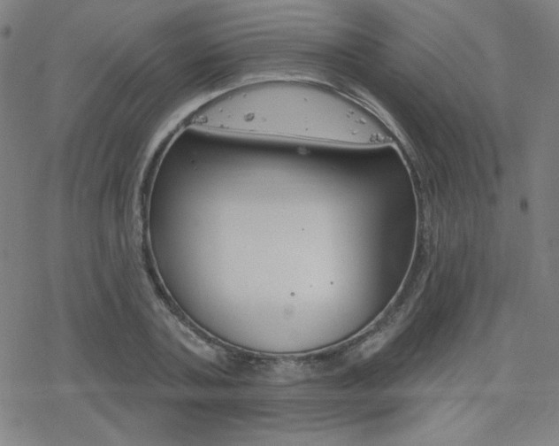 X0000078010787200610270947