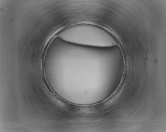 X0000078010790200610270946