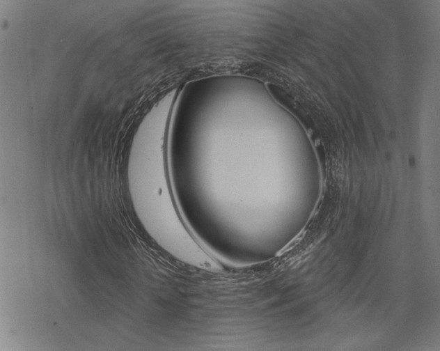 X0000078010818200610270945