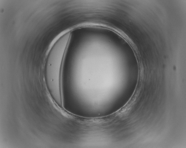 X0000078010862200610270946