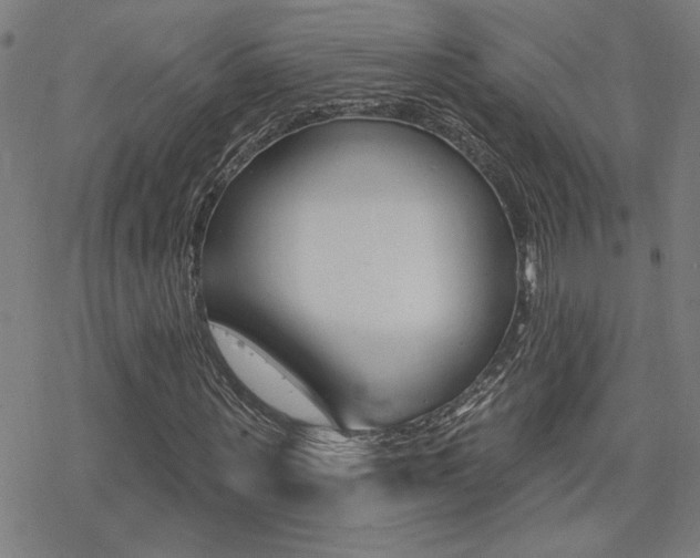 X0000078010867200610270945