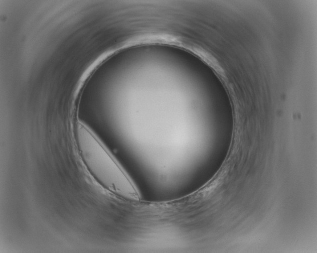 X0000078010912200610270944