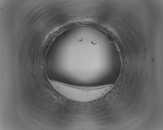 X0000078010920200610270944