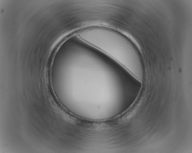 X0000078010983200610270943