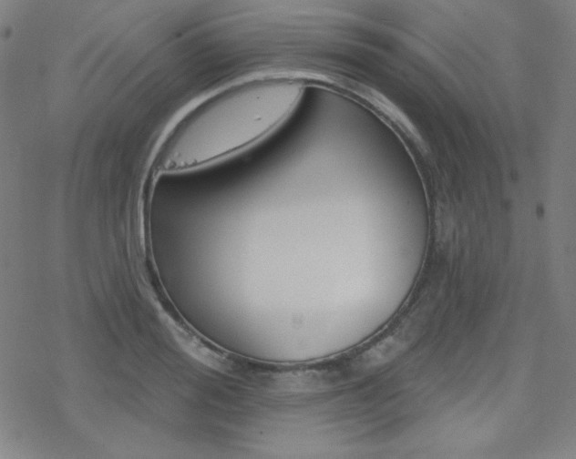 X0000078010988200610270943