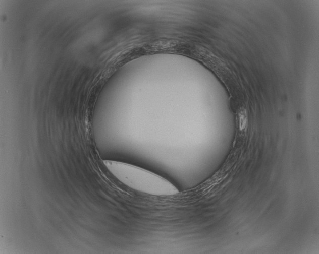 X0000078011011200610270942