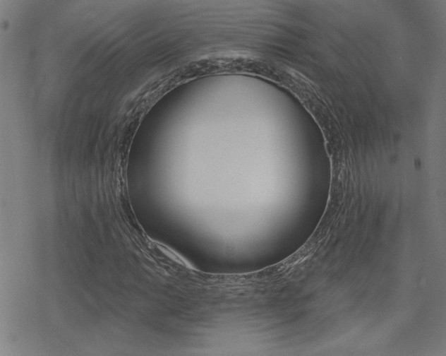 X0000078011014200610270942