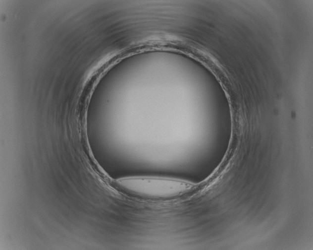 X0000078011018200610270942