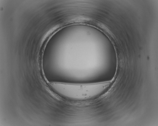 X0000078011026200610270942