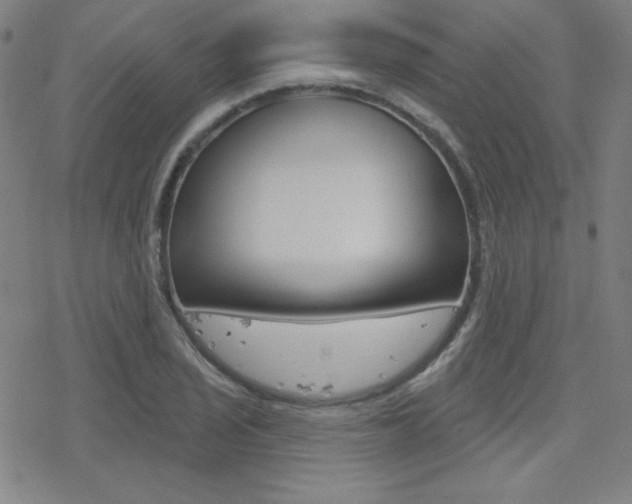 X0000078011029200610270942