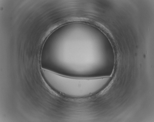X0000078011033200610270942