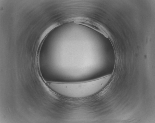 X0000078011050200610270943