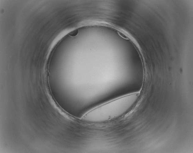 X0000078011053200610270943