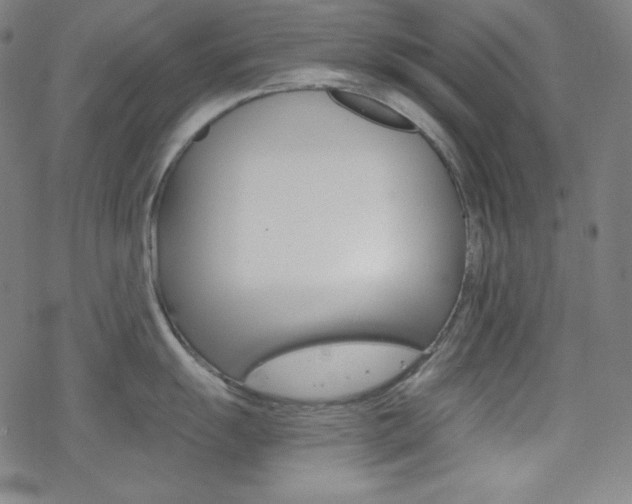 X0000078011055200610270943