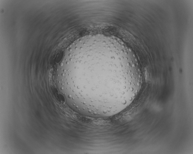 X0000078011059200610270942