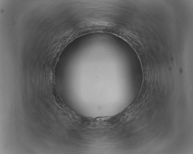X0000078011061200610270942