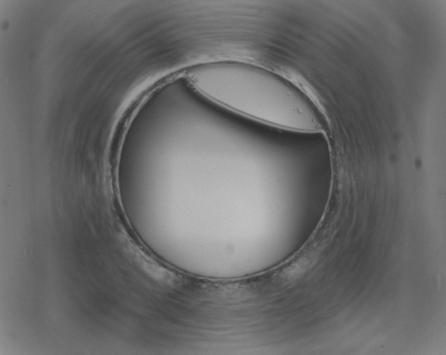 X0000078011072200610270942