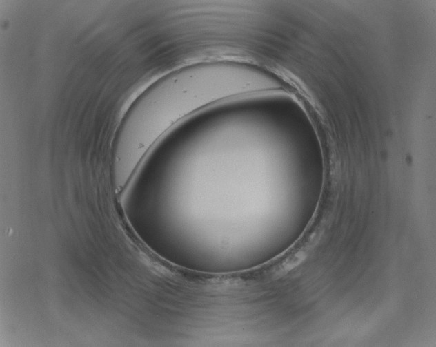 X0000078011081200610270942