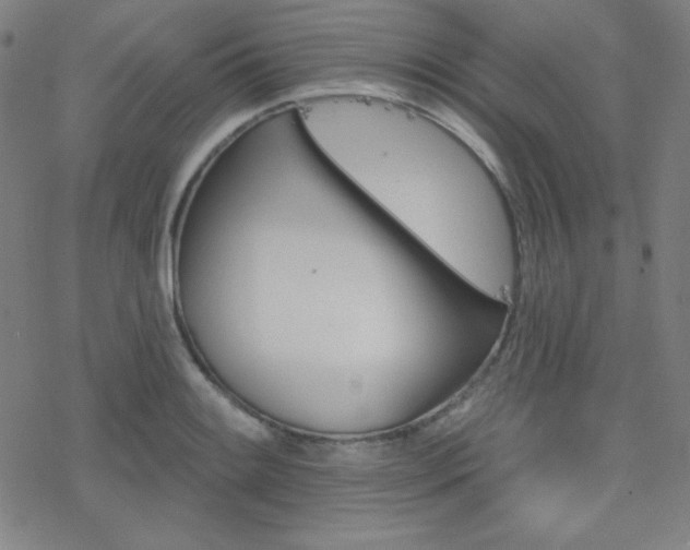 X0000078011084200610270942