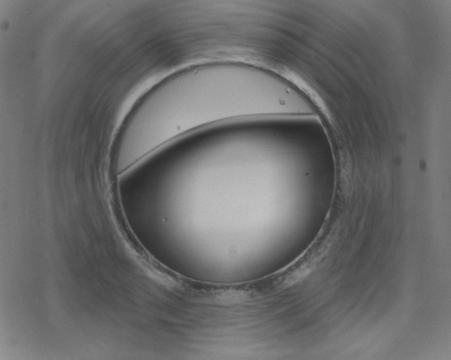X0000078011085200610270942