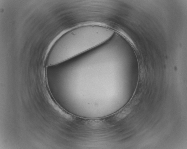 X0000078011092200610270941