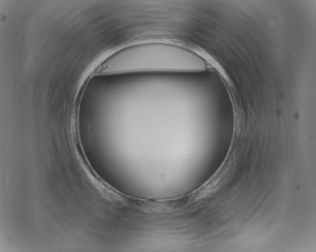 X0000078011101200610270941