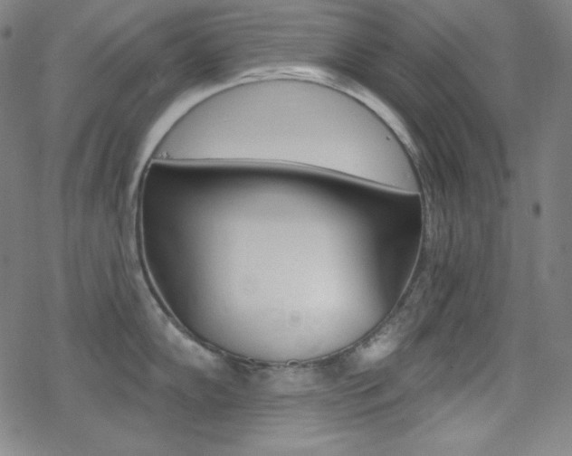 X0000078011102200610270941