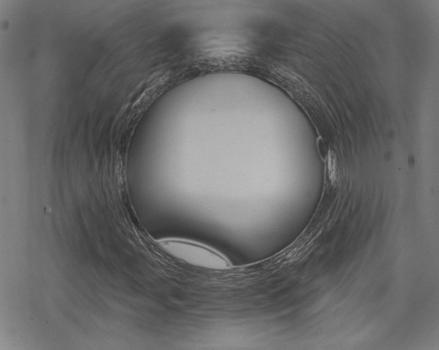 X0000078011107200610270941