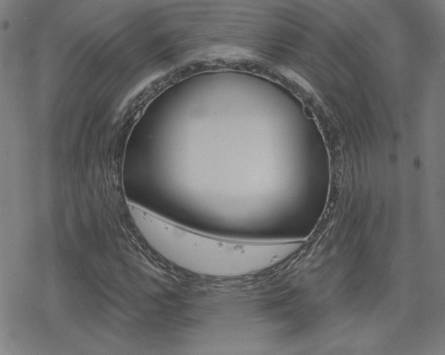 X0000078011112200610270941