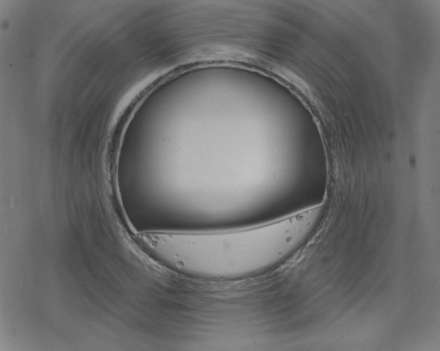 X0000078011120200610270941